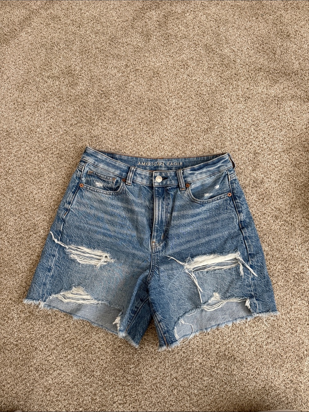 American Eagle Baggy Mom Shorts